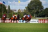 DSC00498.JPG