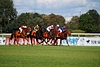 DSC00499.JPG