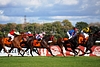 DSC00506.JPG