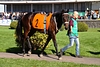 DSC00547.JPG