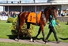 DSC00548.JPG