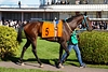 DSC00553.JPG
