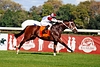 DSC00586.JPG