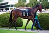 DSC00606.JPG