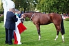 DSC00630.JPG
