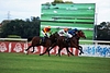 DSC00663.JPG