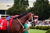 DSC00686.JPG