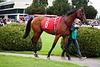 DSC00687.JPG