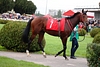 DSC00688.JPG