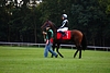 DSC00692.JPG