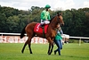 DSC00705.JPG