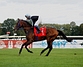 DSC00711.JPG