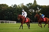DSC00715.JPG