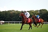 DSC00716.JPG