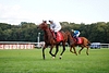 DSC00717.JPG