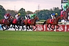 DSC00726.JPG