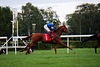 DSC00730.JPG