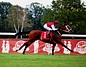 DSC00739.JPG