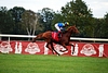 DSC00740.JPG