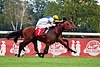 DSC00741.JPG