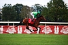 DSC00743.JPG