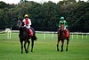 DSC00744.JPG
