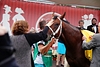 DSC00784.JPG