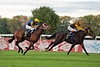 DSC00910.JPG