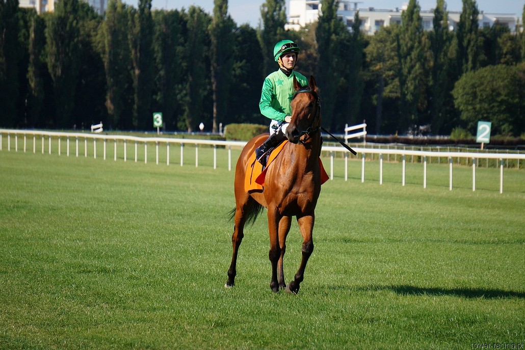 DSC00272.JPG