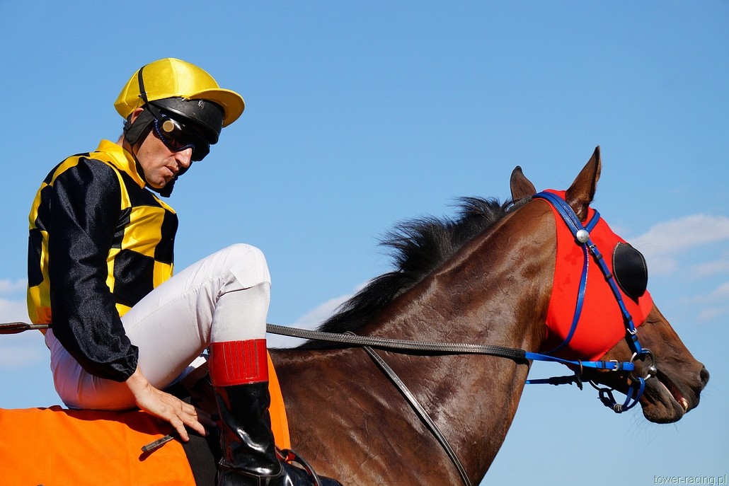 DSC00287.JPG