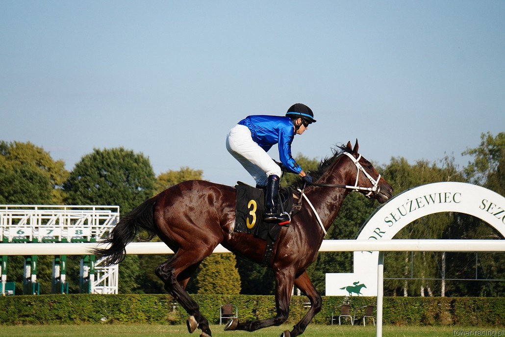 DSC00348.JPG