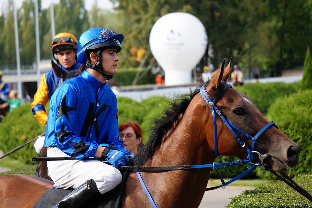 DSC00243.JPG