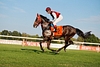 DSC00407.JPG