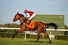 DSC00412.JPG