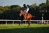 DSC00413.JPG