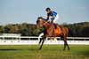 DSC00415.JPG