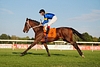 DSC00417.JPG