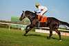 DSC00419.JPG