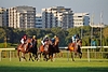 DSC00420.JPG