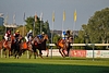 DSC00421.JPG