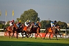 DSC00422.JPG
