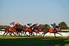 DSC00425.JPG
