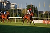 DSC00430.JPG