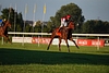DSC00431.JPG