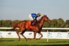 DSC00435.JPG