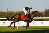 DSC00436.JPG
