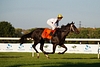 DSC00437.JPG
