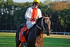 DSC00443.JPG