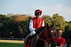DSC00449.JPG