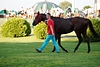 DSC00454.JPG